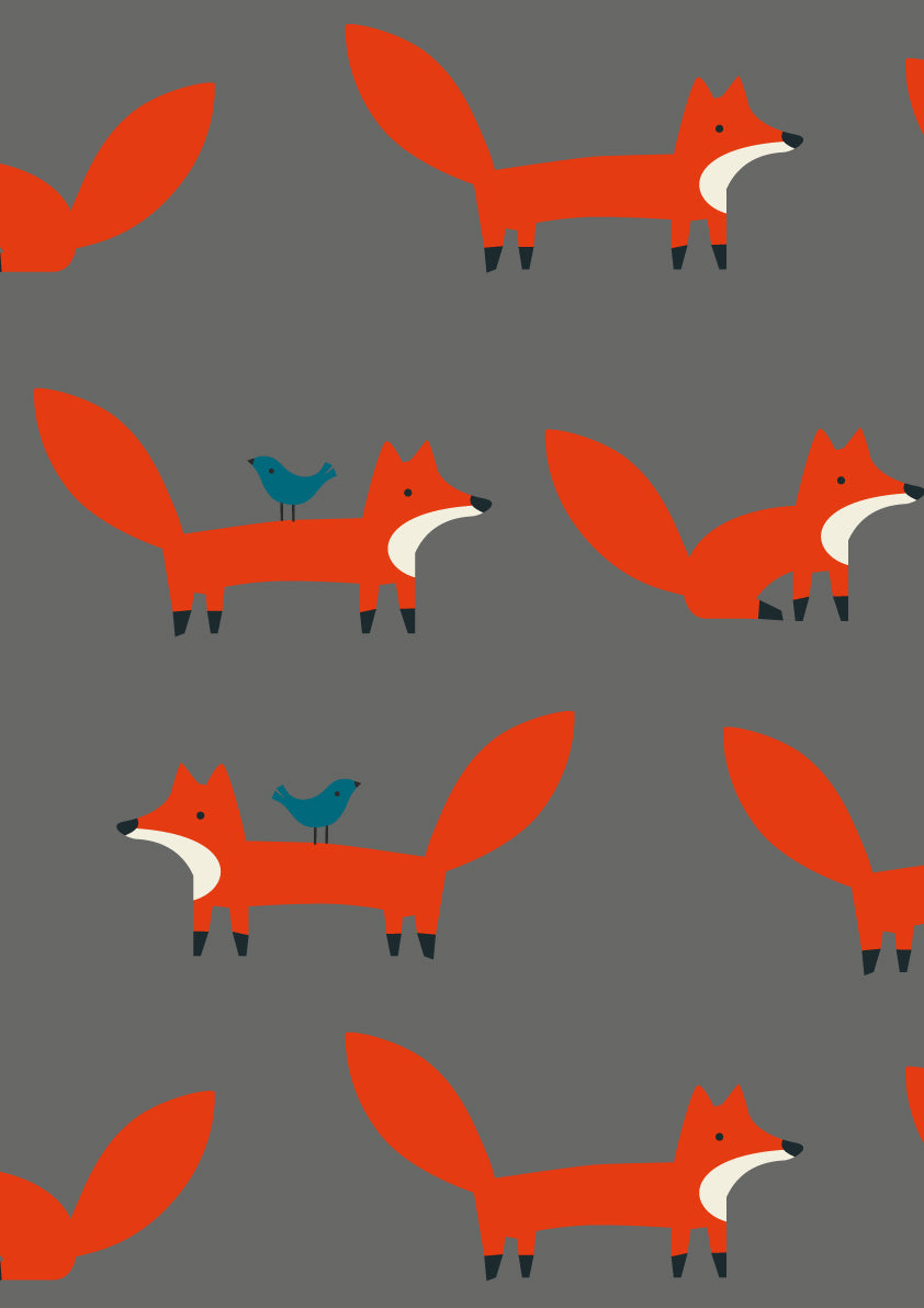 Fodpose - trækul mister fox
